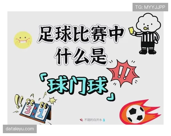 球门球判罚规则详解与实际执行标准解析