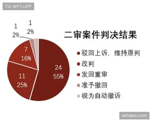 裁判报告在足球比赛中对判罚细节和规则执行的重要记录作用解析 裁判报告在足球比赛中对判罚细节和规则执行的重要记录作用解析